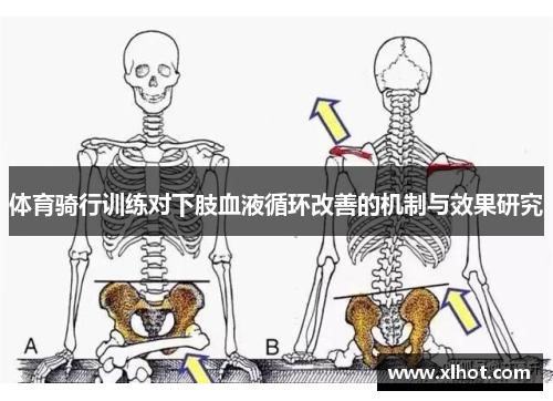 体育骑行训练对下肢血液循环改善的机制与效果研究