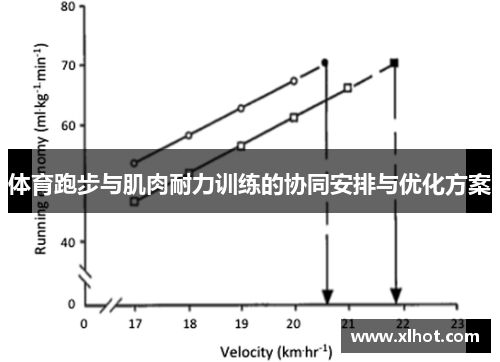 体育跑步与肌肉耐力训练的协同安排与优化方案